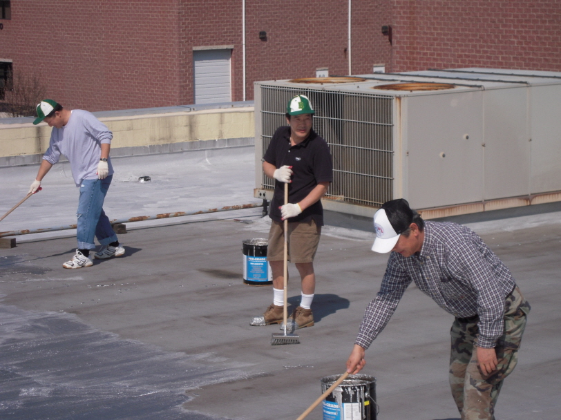 Resized_va roof 012.jpg